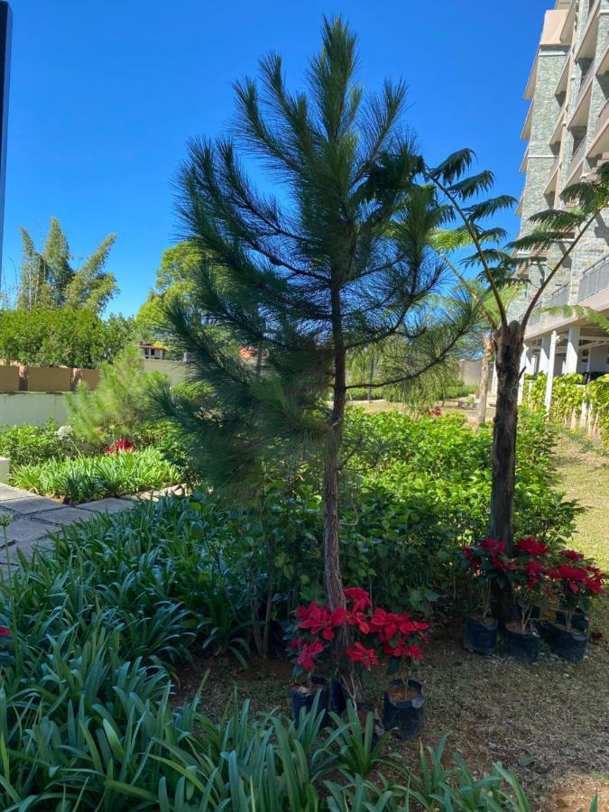 Near Johnhay Minesview Fast Wi-Fi Netflix Balcony Lägenhet Baguio City Exteriör bild